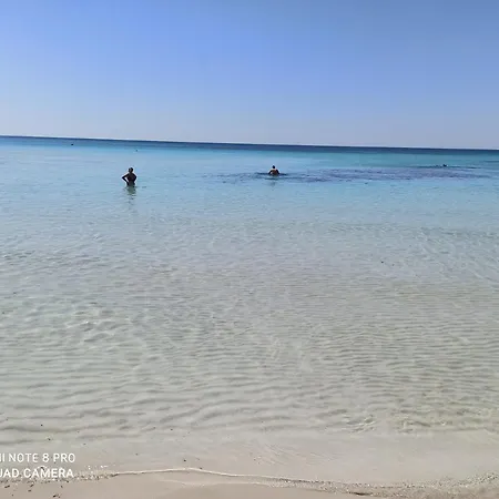 Mare D'amare *